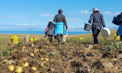 Firmele care angajează zilieri, sub lupa ITM featured image