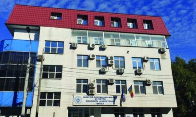 Peste 600 de controale și amenzi de circa 140.000 lei. Bilanțul DSVSA featured image