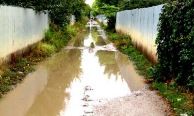 Cu apa din gard în gard featured image