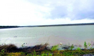 Efectul ”Barbara”. Ploi peste necesar în judeţul Brăila featured image