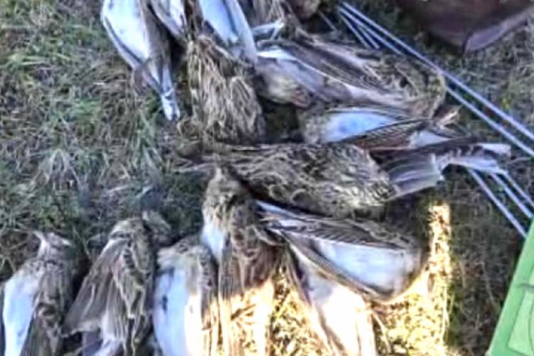 Braconaj cinegetic. Au fost verificați 12 vânători și au fost aplicate mai multe sancțiuni featured image