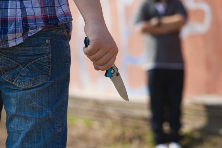 ”Cuțitarul” din Gemenele vrea la domiciliu. Nu i a ieșit featured image