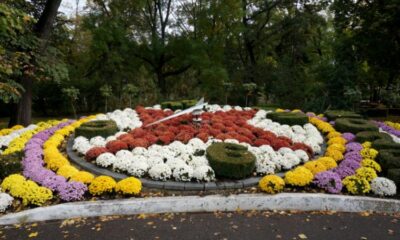 Ceasul floral din Grădina Mare dă din nou ora exactă featured image
