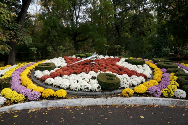 Ceasul floral din Grădina Mare dă din nou ora exactă featured image