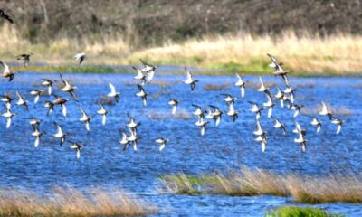 Un deceniu de activități prietenoase cu natura în curțile școlilor din România! featured image