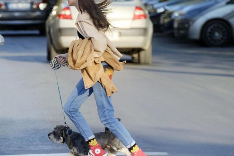 În acest an, zeci de accidente rutiere grave, cu 11 morți featured image