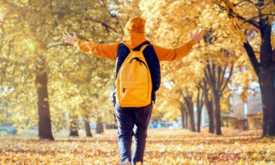 Prima vacanță a anului școlar 2025–2026 featured image