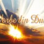 Știi care este Voia Tatălui pentru tine? featured image
