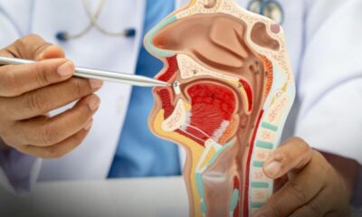 Cât de mult valorează zâmbetul tău? 8 perspective neașteptate despre sănătatea orală și impactul ei asupra corpului featured image