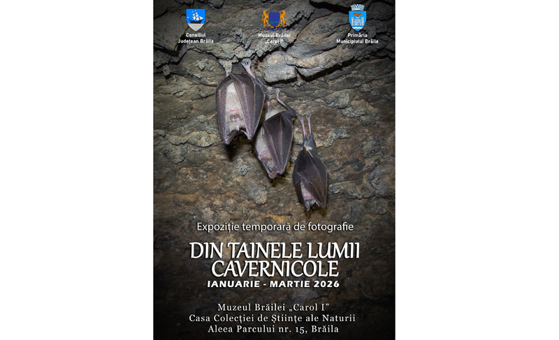 expozitie fotografie