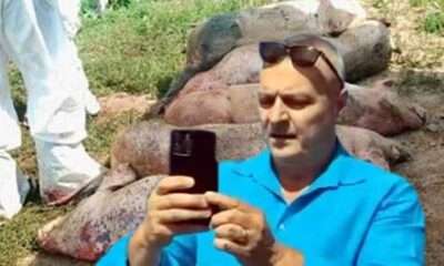 porci-morti-catalin-chivu