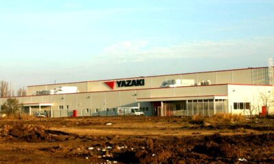 Concedieri la Yazaki