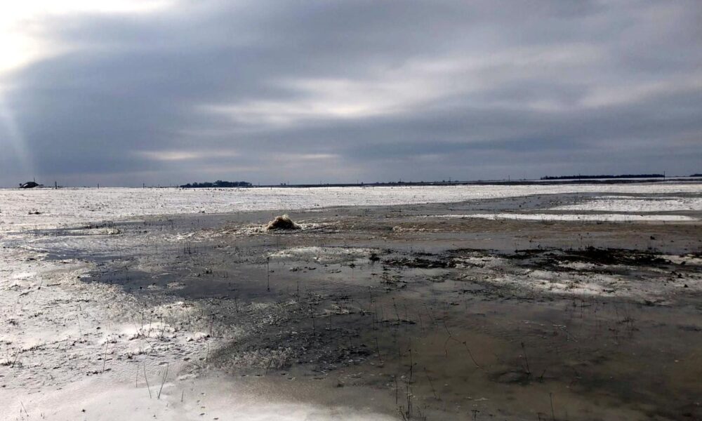 Fantoma funciară. Blestemul avariei de la SPE Valea Encii