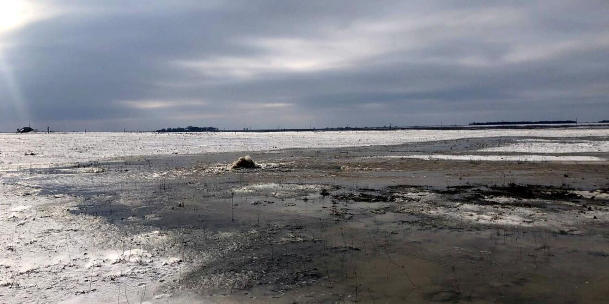 Fantoma funciară. Blestemul avariei de la SPE Valea Encii