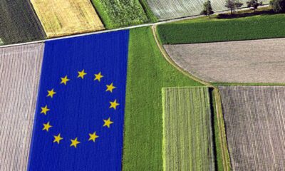 AGENDA EUROPEANĂ | Mihai Tudose a cerut Comisiei Europene să reevalueze reforma Politicii Agricole Comune, după auditul Curții de Conturi