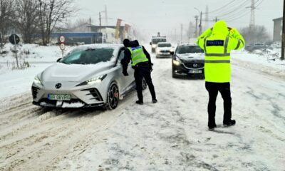 Viscolul a pus județul Brăila la încercare