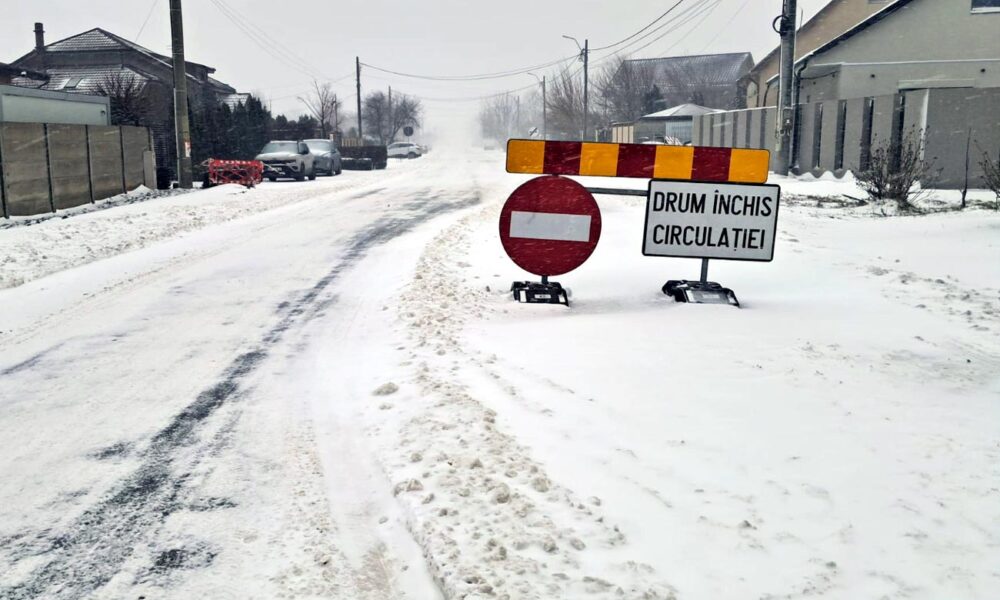 Viscolul a pus județul Brăila la încercare