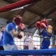 Boxerii de la CSM Brăila, în semifinale la ”Dracula Open 2026”
