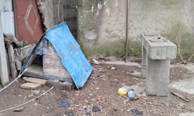 Scandal cu căței abandonați, la CUP ”Dunărea”