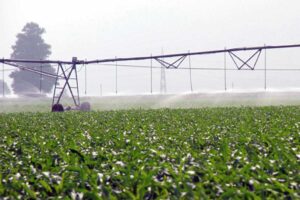 Județul Brăila, locul unu pe țară la irigații