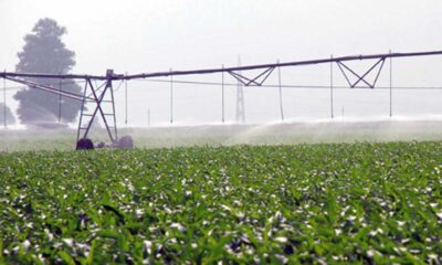 Județul Brăila, locul unu pe țară la irigații