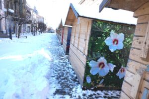 Târgul de Primăvară, pe Regala Brăilei