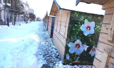 Târgul de Primăvară, pe Regala Brăilei