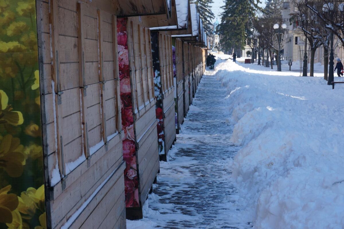 Târgul de Primăvară, pe Regala Brăilei