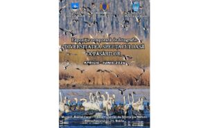 „Diversitatea spectaculoasă a păsărilor”. Expoziție deschisă la Științele Naturii