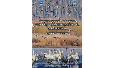 „Diversitatea spectaculoasă a păsărilor”. Expoziție deschisă la Științele Naturii