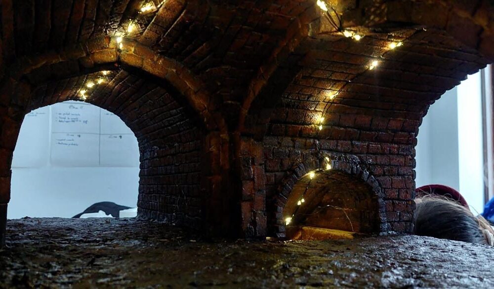 Hrubele Brăilei, proiectul inedit al elevilor de la ”Dr. Luca”