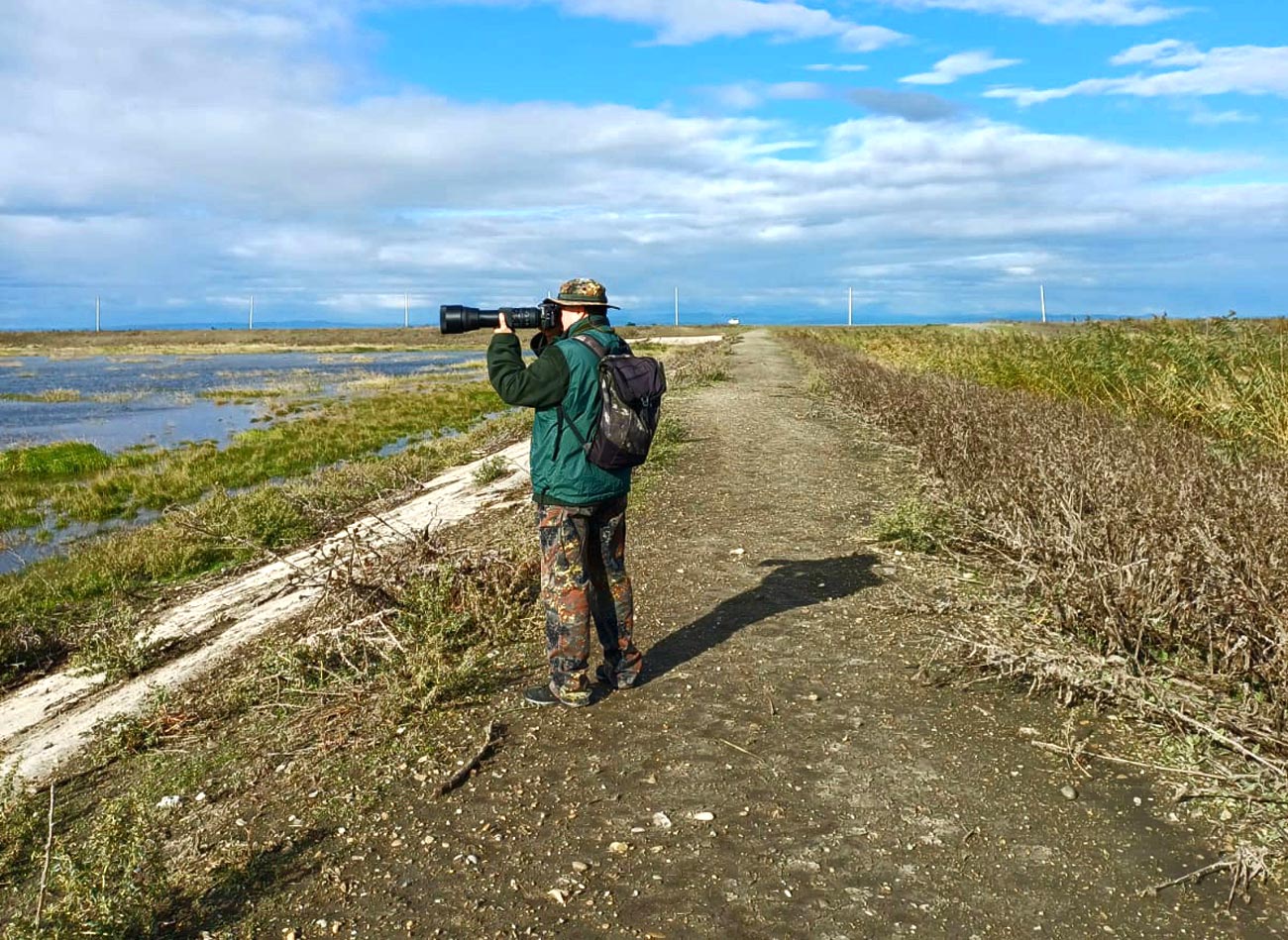 În fiecare săptămână, așa cum a obișnuit cititorii, ziarul "Obiectiv - Vocea Brăilei" vă oferă spre lectură și informare rubrica "Să iubim natura" cu articole scrise și documentate de Marius Vernescu. Membru al Societății Ornitologice Române (SOR) din 1997, Vernescu este coordonator al Sucursalei din Brăila din anul 2012 și până în prezent. Ca membru SOR, Marius Vernescu a luat parte la diverse proiecte de voluntariat, atât în județul Brăila cât și în țară. De asemenea în cadrul SOR a fost implicat în diverse proiecte ca expert ornitolog în decursul anilor. Totodată, Marius Vernescu a lucrat alături de profesorii de la Universitatea Ecologică din București la întocmirea Planului de Management al Luncii Buzăului, dar și în alte proiecte de monitorizare a păsărilor.