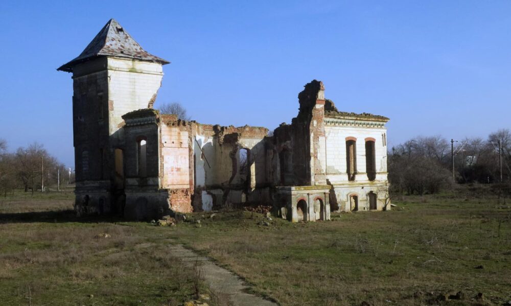 Cine salvează Conacul Orezeanu