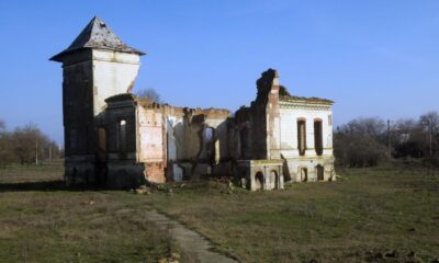 Cine salvează Conacul Orezeanu