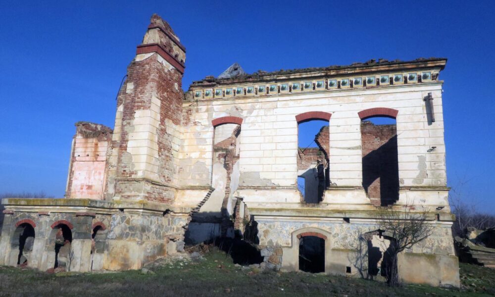 Cine salvează Conacul Orezeanu