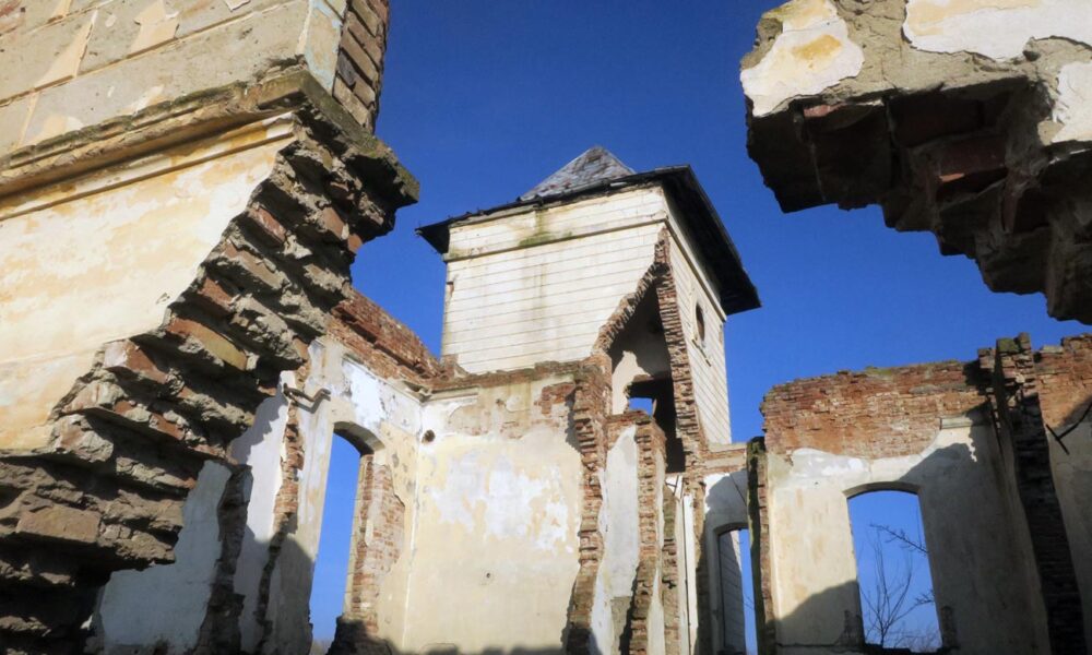 Cine salvează Conacul Orezeanu