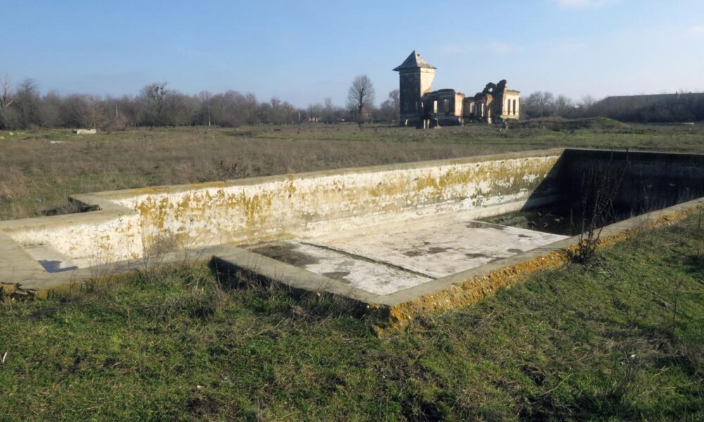 Cine salvează Conacul Orezeanu