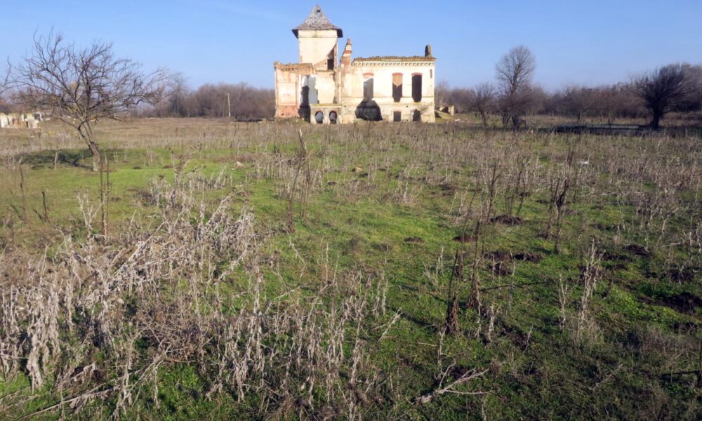 Cine salvează Conacul Orezeanu