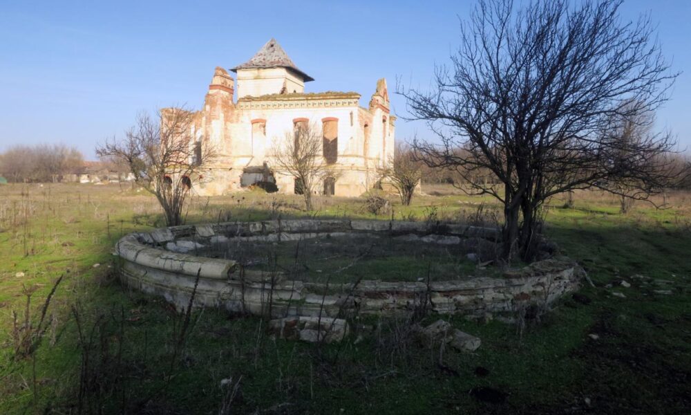 Cine salvează Conacul Orezeanu