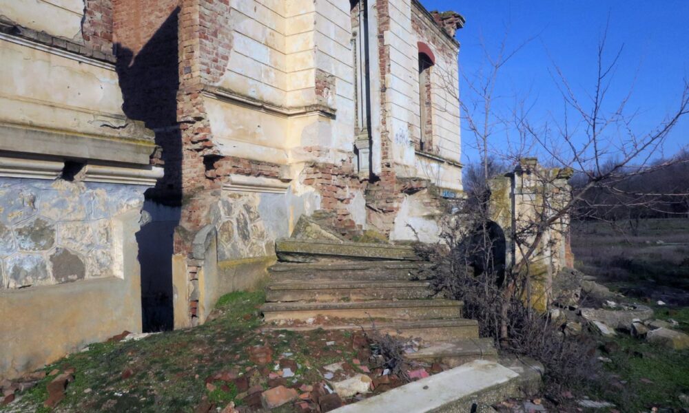 Cine salvează Conacul Orezeanu