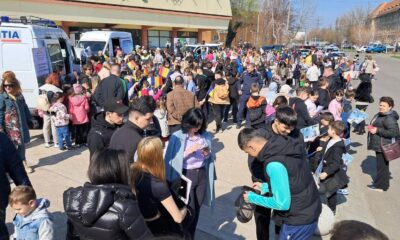 Polițiștii brăileni în «misiune», cu focuri de armă, autospeciale cu alarmă și câine de urmă