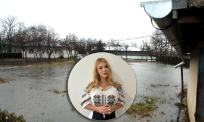 Deputatul AUR Andra Constantinescu, interpelare la Ministerul Mediului pentru Brăila