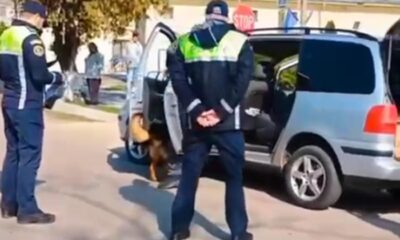 Polițiștii brăileni, acțiuni pentru siguranța elevilor