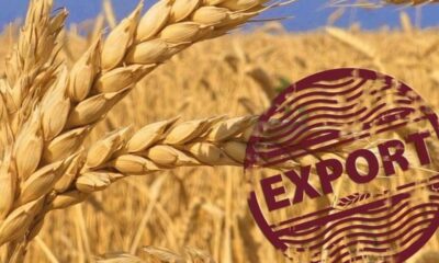 România pornește exporturile de cereale spre China