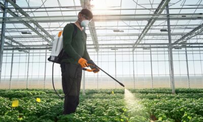 Examen pentru utilizatorii de produse fitosanitare