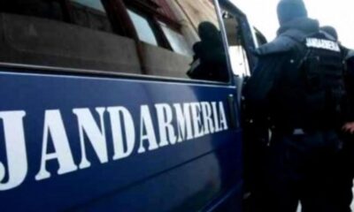 Cetățeni deranjați de indivizi puși pe scandal și câini agresivi în spațiul public