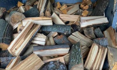 Lemne de foc fără acte legale în județul Brăila