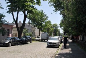 Ucigașul de mamă, 20 de ani închisoare. A ucis-o cu 150 de lovituri cu foarfeca