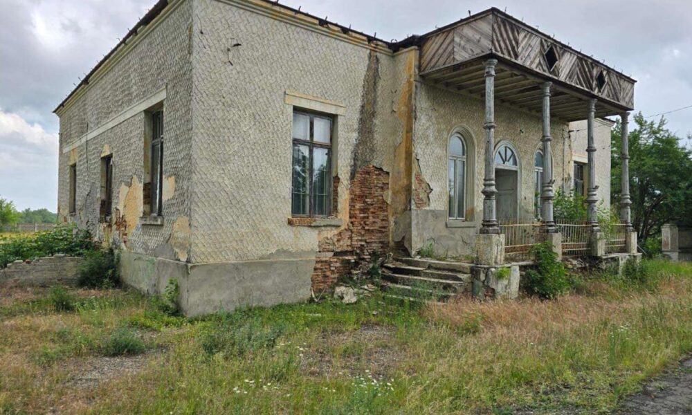 Cine salvează Conacul Orezeanu