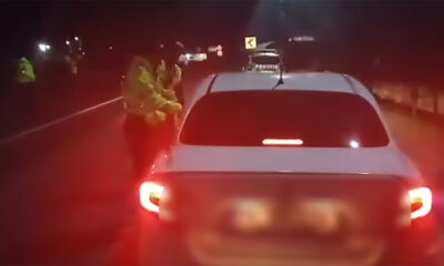 Razie de noapte la Vădeni, în timpul Balului Bobocilor. Polițiștii au intervenit cu câine antidrog